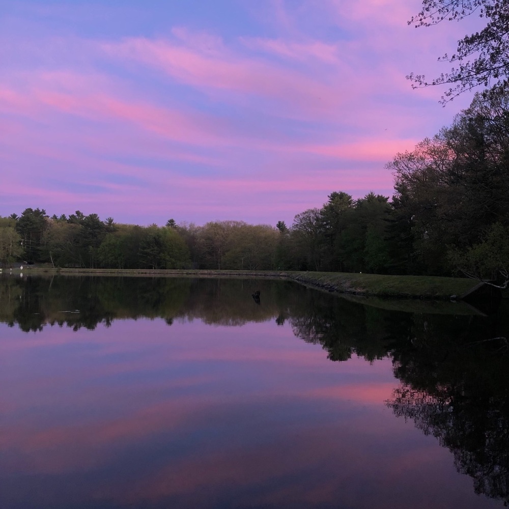 Meet your Posher, Julia